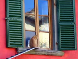 07 0420 c'è sempre Lui